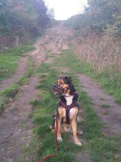 Fotochallenge Nr 107-Beitrag-Bild