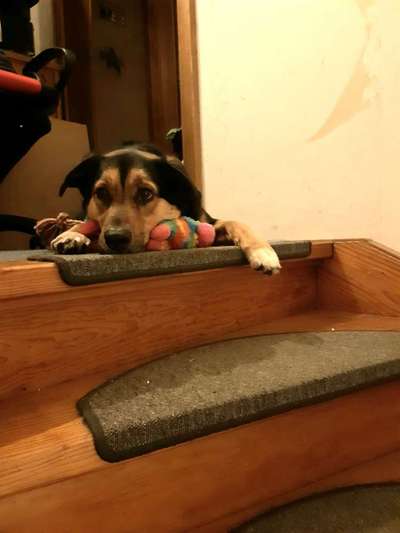 Foto Challenge 112 
ungewöhnliche Schlafplätze-Beitrag-Bild