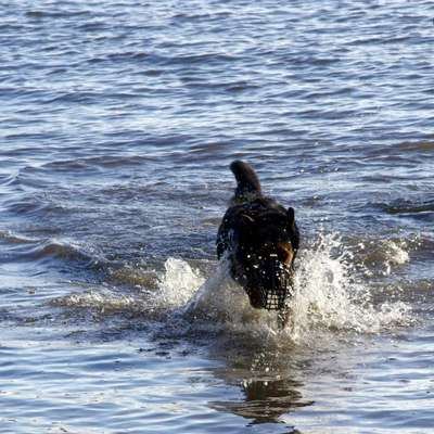 Fotochallenge Nr.105  Glücksmomente-Beitrag-Bild