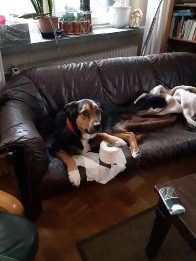 Fotochallenge 113: Auf frsicher Tat ertappt-Beitrag-Bild