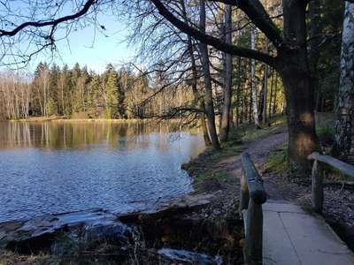 Hundeauslaufgebiet-Werdauer Wald-Bild