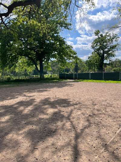 Hundeauslaufgebiet-Hundezone Schweizergarten-Bild