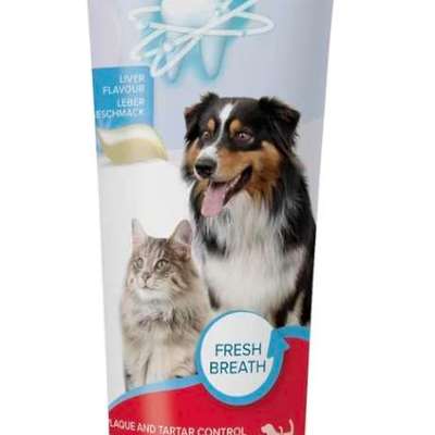 Zahnpflege-Beitrag-Bild