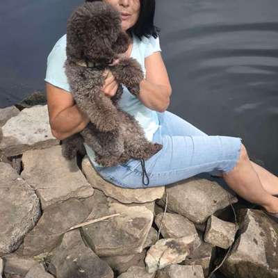 Hundetreffen-Treffen in Alsleben/Saale-Bild