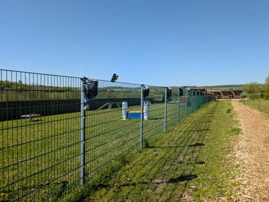 Hundetreffen-Spieltreff auf eigenen Agilityplatz-Bild