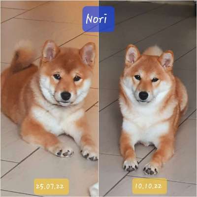 28. Handy-Fotochallenge - Damals und heute-Beitrag-Bild