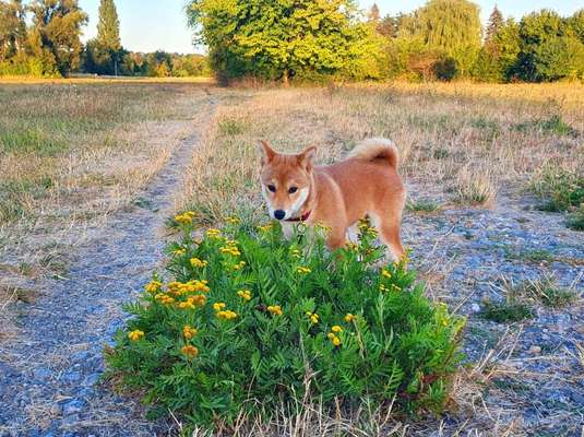 Zeigt eure Portraits-Beitrag-Bild