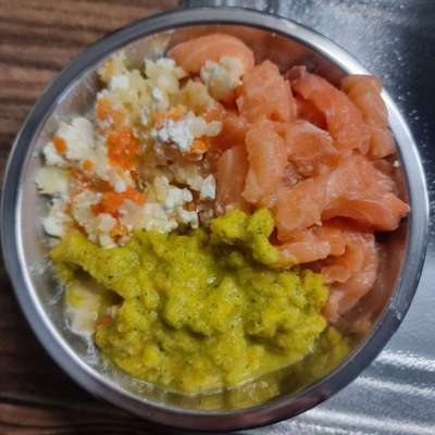 Zeigt her Eure Futternäpfe-Beitrag-Bild