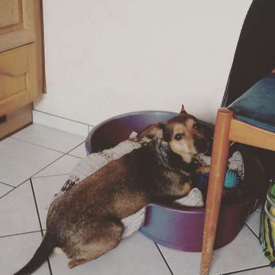 Geschwistersuche Papenburg-Beitrag-Bild