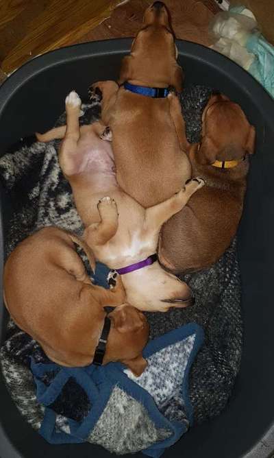 Geschwistersuche Papenburg-Beitrag-Bild