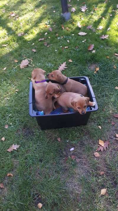 Geschwistersuche Papenburg-Beitrag-Bild