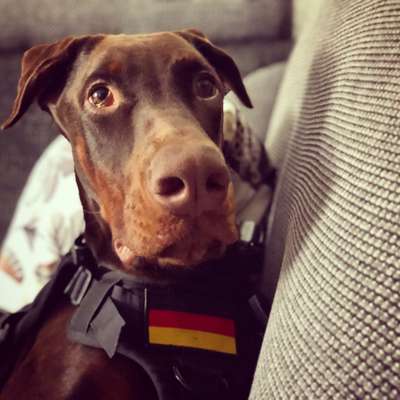 Fotochallange Nr. 57     PORTRÄT.   Beendet!!!!!!!!-Beitrag-Bild