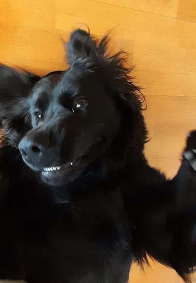 Lustige Grimassen & verrückte Posen-Beitrag-Bild