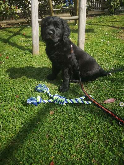 Fotowettbewerb-Beitrag-Bild