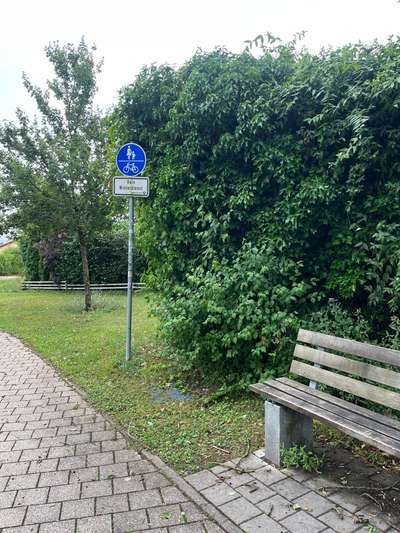 Giftköder-Mögliches Rattengift-Bild