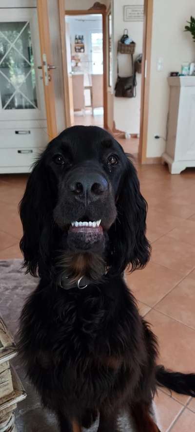 Fotochallange Nr. 57     PORTRÄT.   Beendet!!!!!!!!-Beitrag-Bild