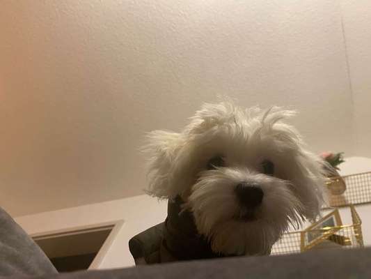 23. Handy Foto-Challenge-Beitrag-Bild