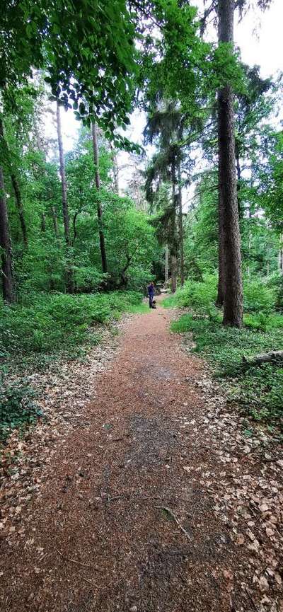 Hundeauslaufgebiet-Werwer Fuhren-Bild