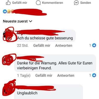 Giftköder-Giftköder an der Haydnstraße-Bild