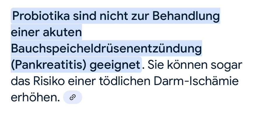 Hundekot vom Nassfutter-Beitrag-Bild