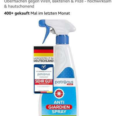 Giardien Shampoo-Beitrag-Bild