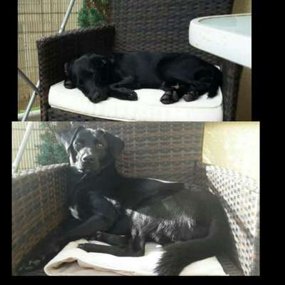 Vorher.... Nachher-Beitrag-Bild