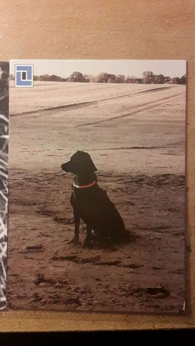 Fertig mit unseren Nerven...-Beitrag-Bild