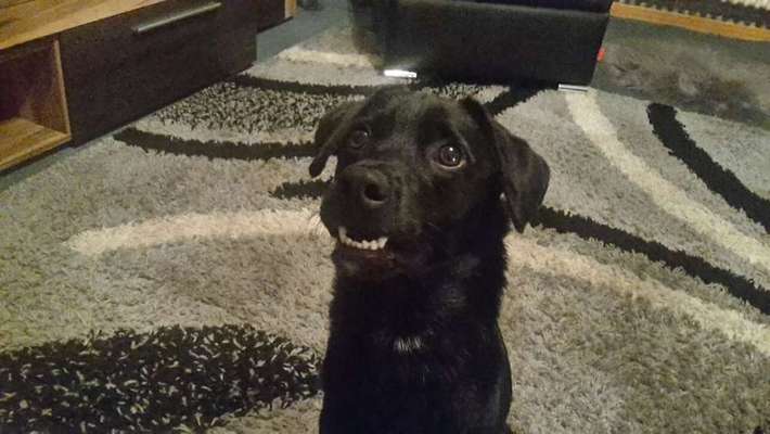 Fertig mit unseren Nerven...-Beitrag-Bild