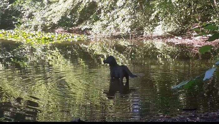 Foto Challenge - BEENDET - bitte aktuelle Challenge nutzen-Beitrag-Bild