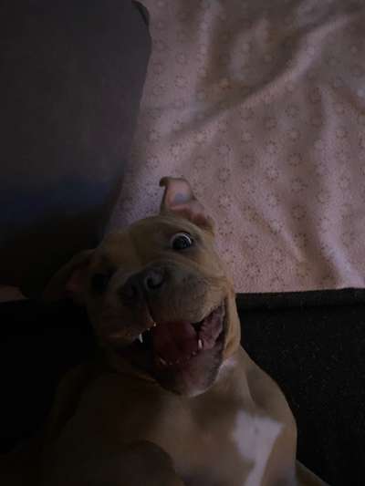 Her mit dem Grimassen-Beitrag-Bild