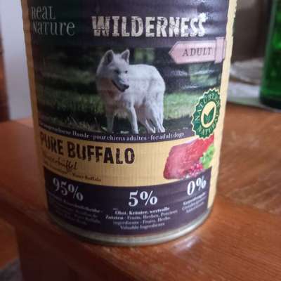 Suchen verzweifelt Hundefutter-Beitrag-Bild