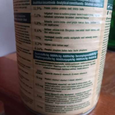 Suchen verzweifelt Hundefutter-Beitrag-Bild