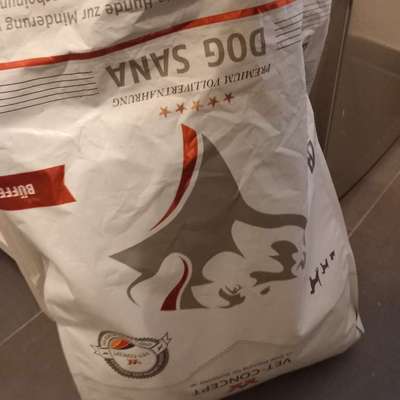 Suchen verzweifelt Hundefutter-Beitrag-Bild