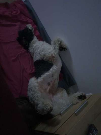 Die unbequemsten und lustigsten Schlafpositionen-Beitrag-Bild