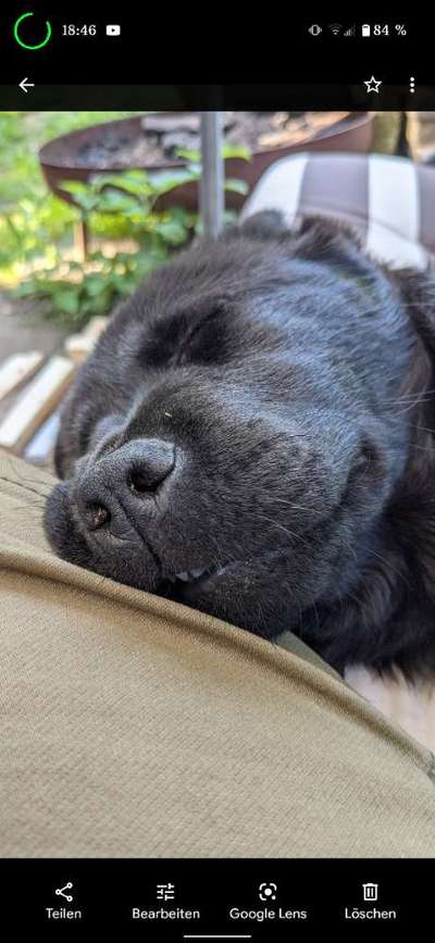 Lustige Grimassen & verrückte Posen-Beitrag-Bild