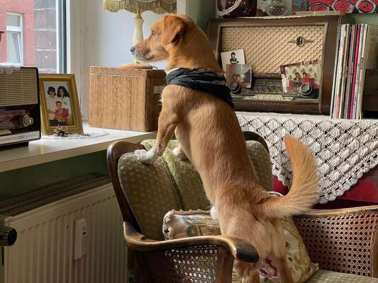 Doppelgänger gesucht !-Beitrag-Bild