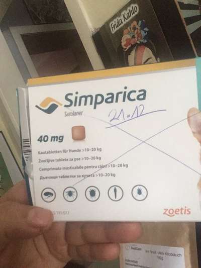 Tablette  oder tropfen  gegen Flöhe oder zecken??-Beitrag-Bild