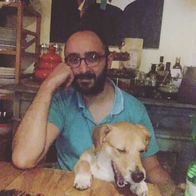 Lustigsten Grimassen von euren Hunden-Beitrag-Bild