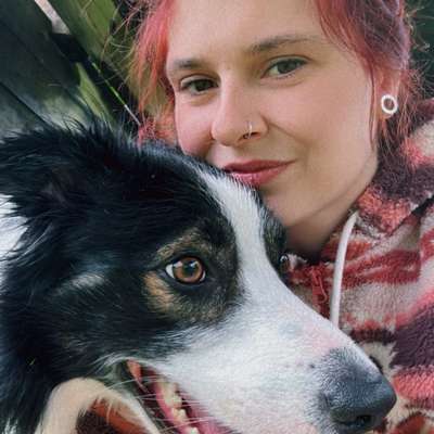 Hundeschulen-Gina-Bild