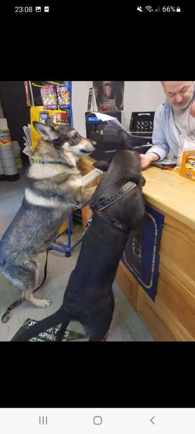 Theos Fotochallenge Nr. 3-Beitrag-Bild