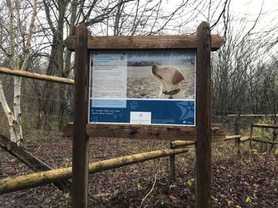 Hundeauslaufgebiet-Damwild-Gehege-Bild