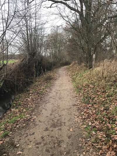 Hundeauslaufgebiet-Kleiner Wanderweg-Bild