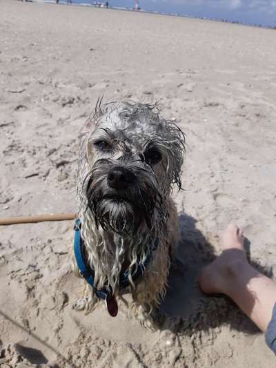 Eure Strandbilder :)-Beitrag-Bild