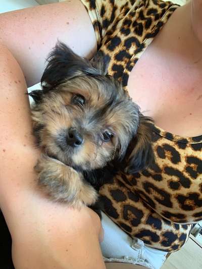 Lieblingsbild-Beitrag-Bild