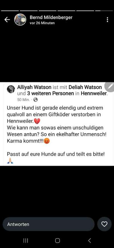 Giftköder-Giftköder-Bild