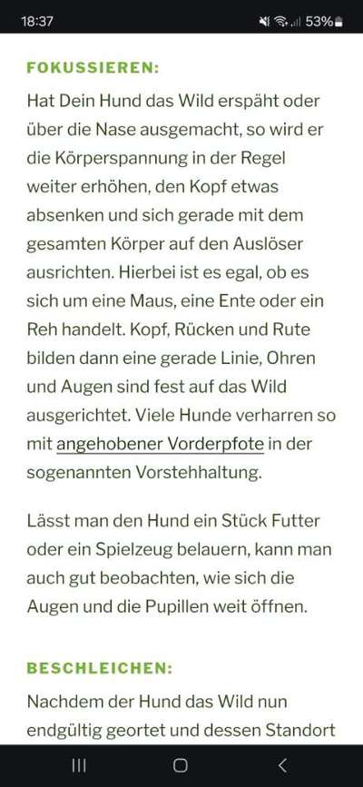 TierschutzhundeStammtisch🐕-Beitrag-Bild