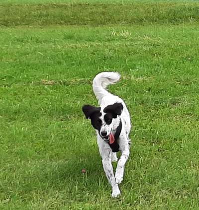 Lieblingsbild-Beitrag-Bild