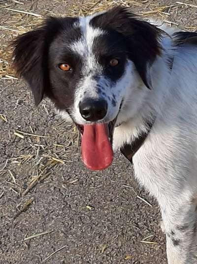 Zeigt eure Portraits-Beitrag-Bild