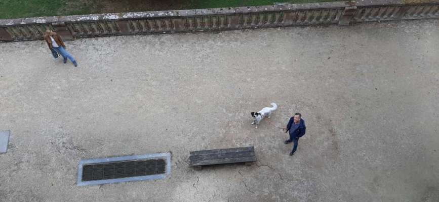 TierschutzhundeStammtisch🐕-Beitrag-Bild