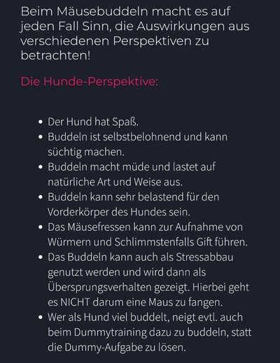 TierschutzhundeStammtisch🐕-Beitrag-Bild